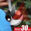 Секатор аккумуляторный TITAN SC-8602, 2 аккумулятора, 21 В, кейс Секатор аккумуляторный TITAN SC-8602, 2 аккумулятора, 21 В, кейс