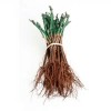 Воск для прививки Agrichem Plastifina 7535 зелёный с гормонами, в гранулах 0,5 кг