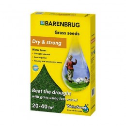 Газонная трава Barenbrug dry and strong (засухоустойчивая) 1 кг