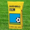 Газонная трава Barenbrug Regeneration Perennial Ryegrass RPR (регенерирующий многолетний райграс) 15 кг