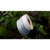 Прививочная лента Buddy Tape BT60-50/30 перфорация 50 мм, ширина 30 мм, длина 60 м