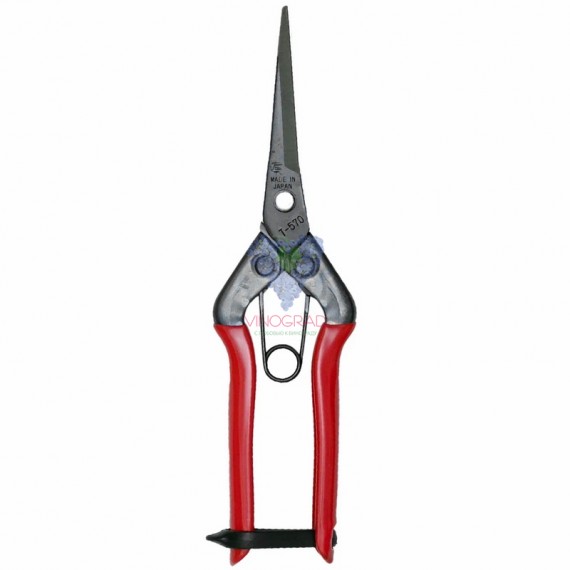 Секатор-ножиці Chikamasa T-570