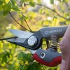 Секатор-ножницы Chikamasa TS-66B