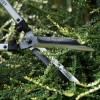 Ножницы для кустов Falket FAL7522