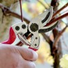 Секатор Falket FAL2112 Секатор Falket FAL2112