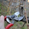 Секатор FALKET FAL2209 с двумя режущими лезвиями Секатор FALKET FAL2209 с двумя режущими лезвиями