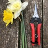 Секатор-ножницы FELCO 321 Секатор-ножницы FELCO 321