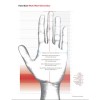 Перчатки Felco 702XL Перчатки Felco 702XL