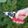 Секатор FELCO 12 с поворотной ручкой