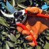 Секатор FELCO 2