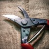 Секатор FELCO 5