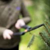 Ножницы для кустов Fiskars SingleStep HS22 114730 (1001433) Ножницы для кустов Fiskars SingleStep HS22 114730 (1001433)