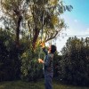 Высоторез-сучкорез Fiskars PowerGear UPX86 1023624 телескопический