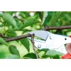 Секатор LOWE 5.127 с наковальней Секатор LOWE 5.127 с наковальней