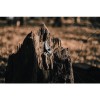 Секатор LOWE 9.104 Natural
