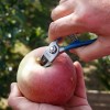 Кусачки для збору плодів Manzana M14-AM