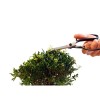 Ножиці для бонсай Okatsune Bonsai KST200 Ножиці для бонсай Okatsune Bonsai KST200
