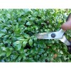 Ножницы для бонсай Okatsune Bonsai KST203