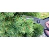 Ножницы для бонсай Okatsune Bonsai KST203