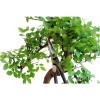 Ножницы для бонсай Okatsune Bonsai KST206