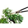 Ножницы для бонсай Okatsune Bonsai KST206