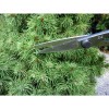Ножницы для бонсай Okatsune Bonsai KST206