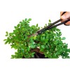 Ножницы для бонсай Okatsune Bonsai KST206
