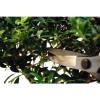 Ножиці для бонсай Okatsune Bonsai KST221 Ножиці для бонсай Okatsune Bonsai KST221