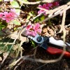Секатор Okatsune 101 (KST101)