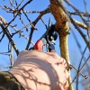 Секатор Okatsune 104 (KST104)