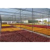 Удобрение минеральное Plantacote Mix 6 М (15-10-15+2MgO+5S+ME) 25 кг