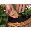 Удобрение минеральное Plantacote Pluss 12 M (14-9-15+2MgO+4S+ME) 25 кг