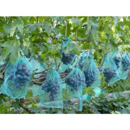 Сетка-мешок для защиты винограда от ос 22*35 cм, 2 кг
