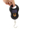 Весы ручные (безмен) Ebalance EB 50 кг Весы ручные (безмен) Ebalance EB 50 кг