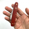 Ніж Victorinox 3.91.16.B1 подвійний для щеплення з відокремлювачем кори